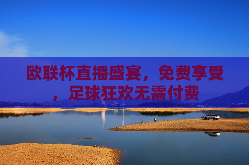 欧联杯直播盛宴，免费享受，足球狂欢无需付费