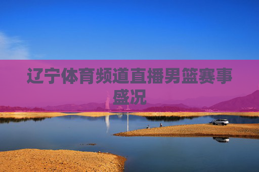 辽宁体育频道直播男篮赛事盛况