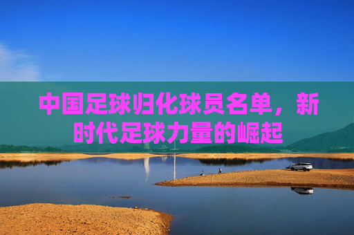 中国足球归化球员名单，新时代足球力量的崛起