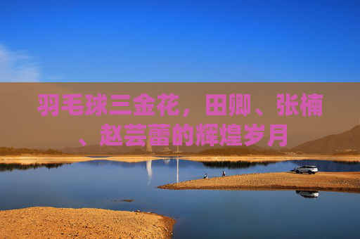 羽毛球三金花,田卿、张楠、赵芸蕾的辉煌岁月 羽毛球三金花,田卿、张楠、赵芸蕾的辉煌岁月