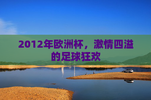 2012年欧洲杯,激情四溢的足球狂欢 2012年欧洲杯,激情四溢的足球狂欢