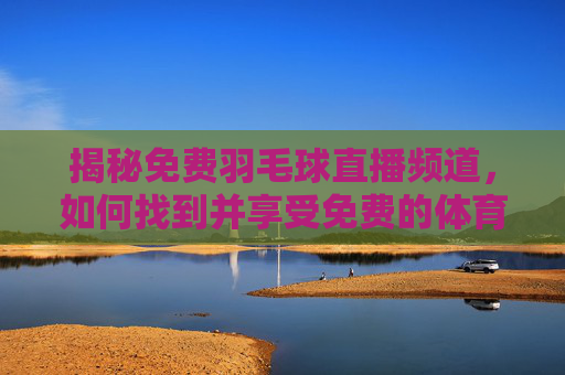 揭秘免费羽毛球直播频道,如何找到并享受免费的体育盛宴 揭秘免费羽毛球直播频道,如何找到并享受免费的体育盛宴