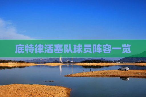 底特律活塞队球员阵容一览 底特律活塞队球员阵容一览