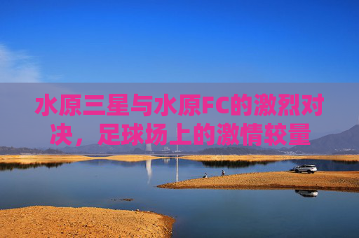 水原三星与水原FC的激烈对决,足球场上的激情较量 水原三星与水原FC的激烈对决,足球场上的激情较量