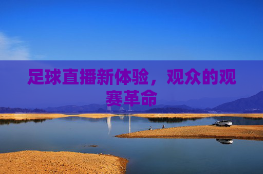 足球直播新体验,观众的观赛革命 足球直播新体验,观众的观赛革命