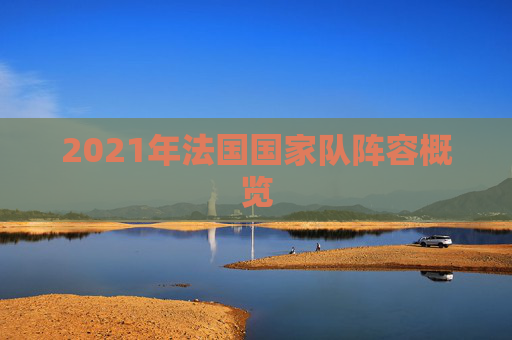 2021年法国国家队阵容概览