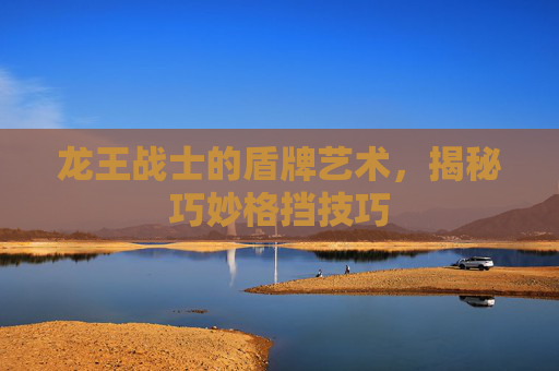 龙王战士的盾牌艺术，揭秘巧妙格挡技巧