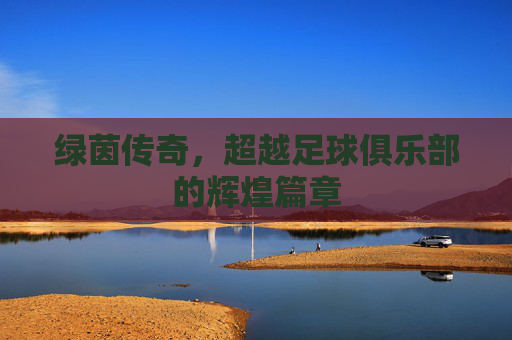 绿茵传奇，超越足球俱乐部的辉煌篇章