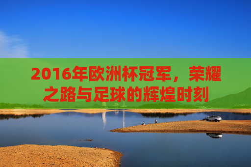 2016年欧洲杯冠军，荣耀之路与足球的辉煌时刻