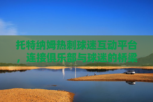 托特纳姆热刺球迷互动平台，连接俱乐部与球迷的桥梁