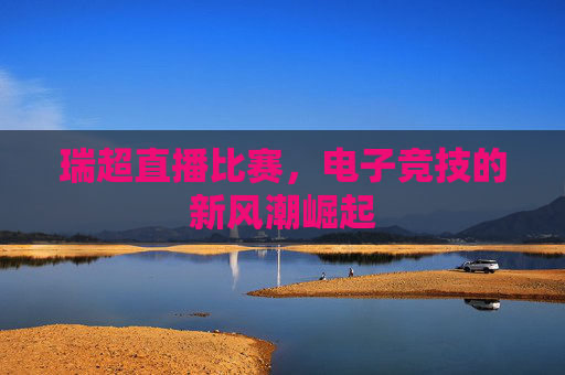 瑞超直播比赛，电子竞技的新风潮崛起