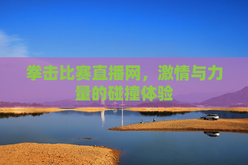拳击比赛直播网，激情与力量的碰撞体验