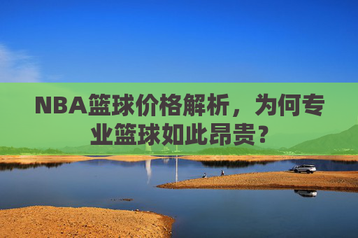NBA篮球价格解析，为何专业篮球如此昂贵？