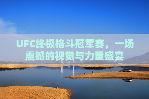 UFC终极格斗冠军赛，一场震撼的视觉与力量盛宴
