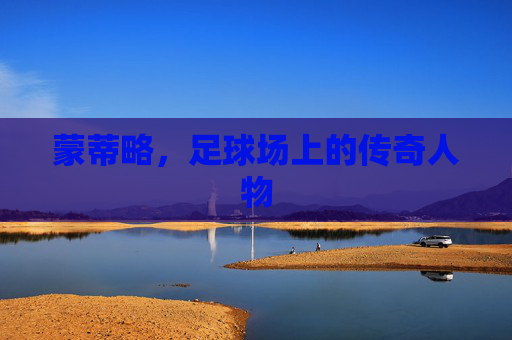 蒙蒂略,足球场上的传奇人物 蒙蒂略,足球场上的传奇人物