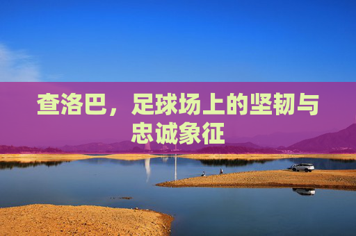 查洛巴,足球场上的坚韧与忠诚象征 查洛巴,足球场上的坚韧与忠诚象征