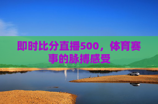 即时比分直播500，体育赛事的脉搏感受