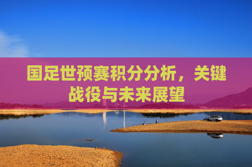 国足世预赛积分分析，关键战役与未来展望