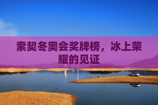索契冬奥会奖牌榜，冰上荣耀的见证