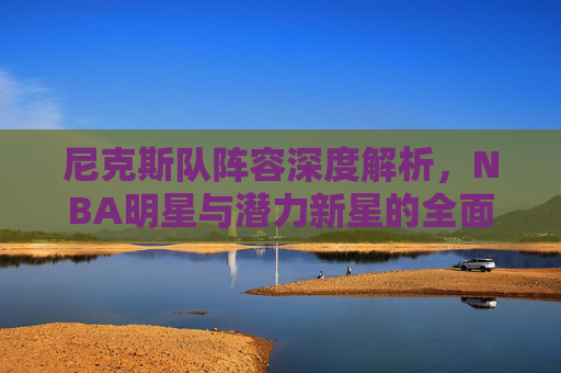 尼克斯队阵容深度解析，NBA明星与潜力新星的全面展示