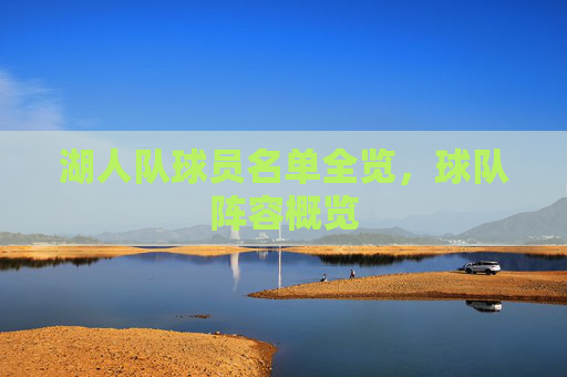 湖人队球员名单全览，球队阵容概览