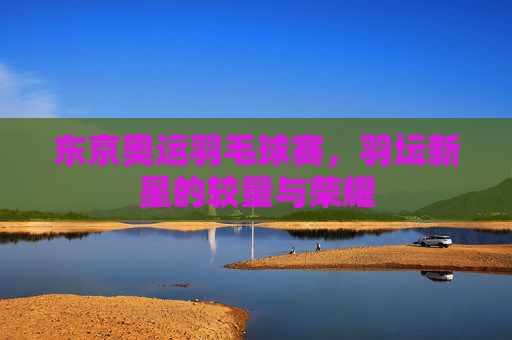 东京奥运羽毛球赛，羽坛新星的较量与荣耀