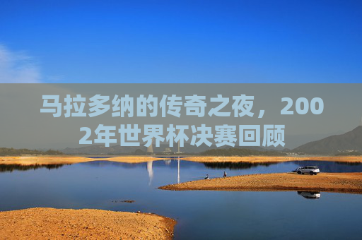 马拉多纳的传奇之夜，2002年世界杯决赛回顾