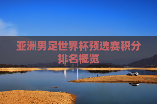 亚洲男足世界杯预选赛积分排名概览