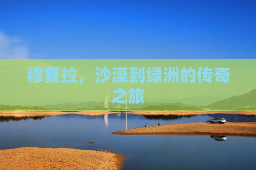 穆夏拉,沙漠到绿洲的传奇之旅 穆夏拉,沙漠到绿洲的传奇之旅