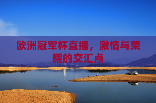 欧洲冠军杯直播，激情与荣耀的交汇点