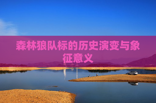 森林狼队标的历史演变与象征意义