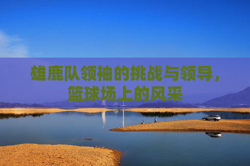 雄鹿队领袖的挑战与领导，篮球场上的风采