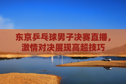 东京乒乓球男子决赛直播，激情对决展现高超技巧