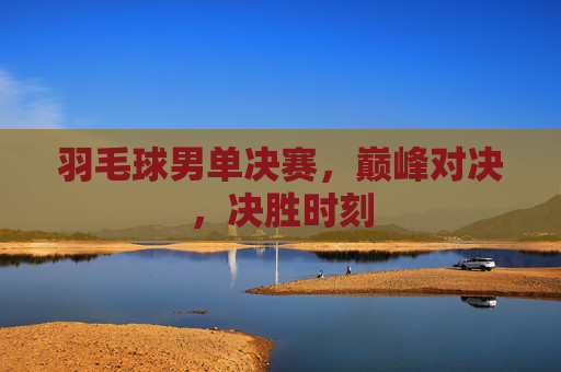 羽毛球男单决赛，巅峰对决，决胜时刻