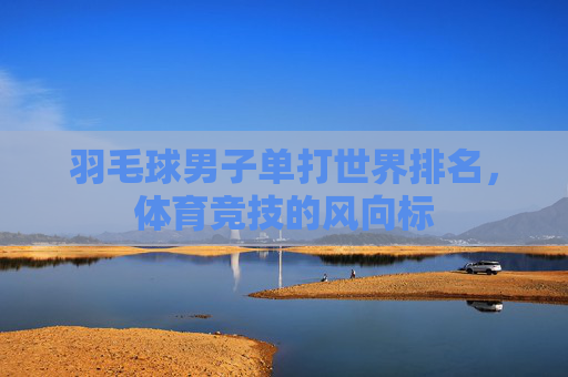 羽毛球男子单打世界排名，体育竞技的风向标