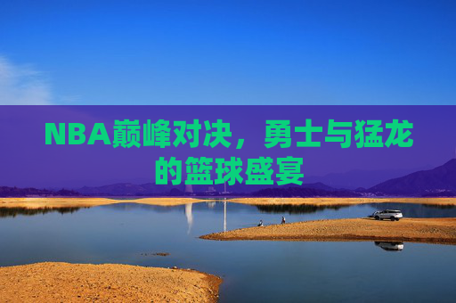 NBA巅峰对决，勇士与猛龙的篮球盛宴