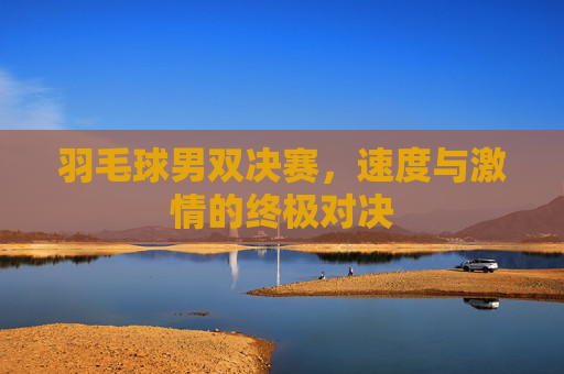 羽毛球男双决赛，速度与激情的终极对决