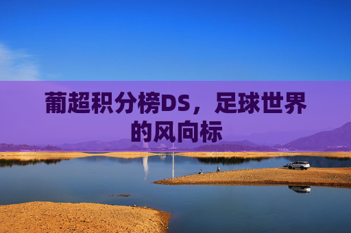 葡超积分榜DS，足球世界的风向标