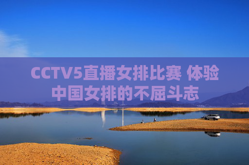 CCTV5直播女排比赛 体验中国女排的不屈斗志