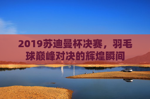 2019苏迪曼杯决赛，羽毛球巅峰对决的辉煌瞬间