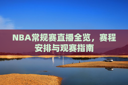 NBA常规赛直播全览，赛程安排与观赛指南