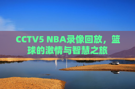 CCTV5 NBA录像回放，篮球的激情与智慧之旅