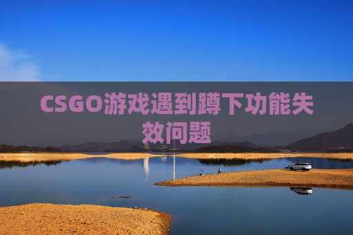CSGO游戏遇到蹲下功能失效问题