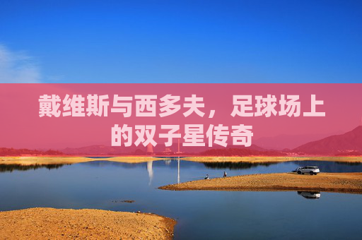 戴维斯与西多夫,足球场上的双子星传奇 戴维斯与西多夫,足球场上的双子星传奇