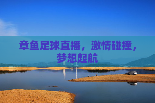 章鱼足球直播，激情碰撞，梦想起航