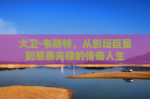 大卫·韦斯特，从影坛巨星到慈善先锋的传奇人生
