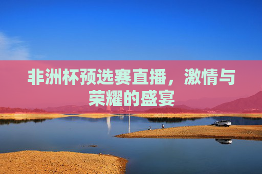 非洲杯预选赛直播，激情与荣耀的盛宴
