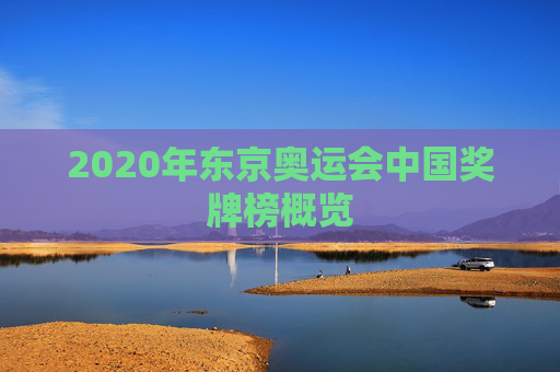 2020年东京奥运会中国奖牌榜概览