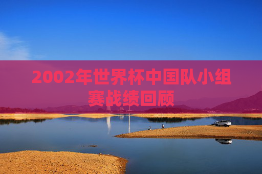 2002年世界杯中国队小组赛战绩回顾