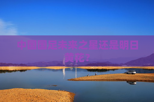 中国国足未来之星还是明日黄花？